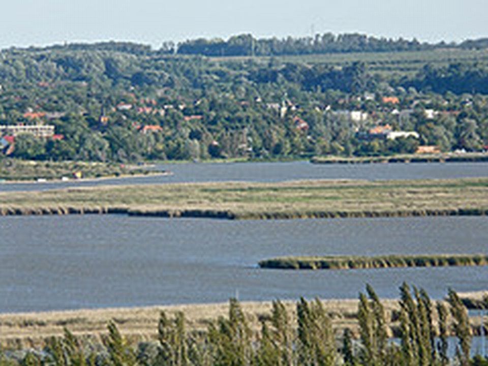 Gyurcsány keze messzire elért
