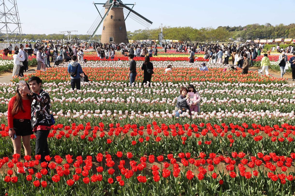 Elpusztított tulipánok, letarolt tengerpart marad az Insta-turisták nyomában