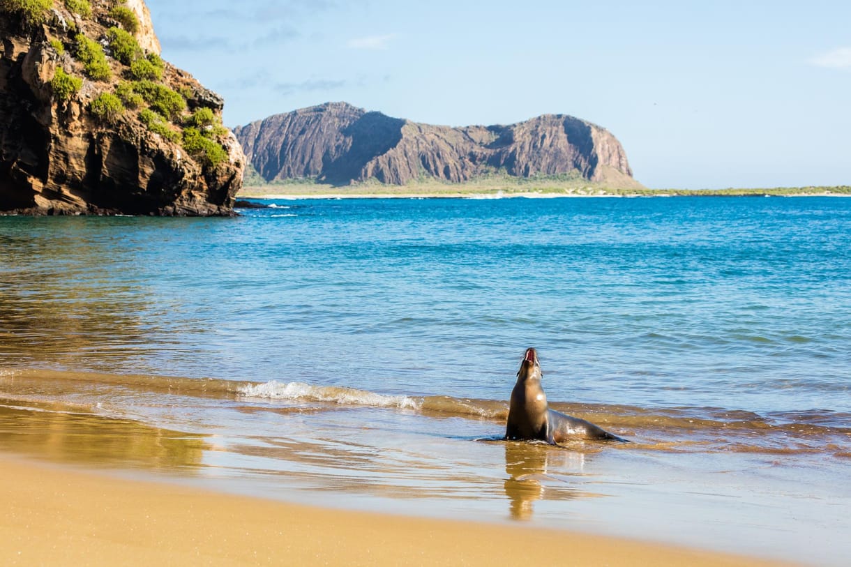 Kiképeztek 74 önkéntest a a Galápagos-szigeteken, hogy felmérjék, hogy áll az élővilág
