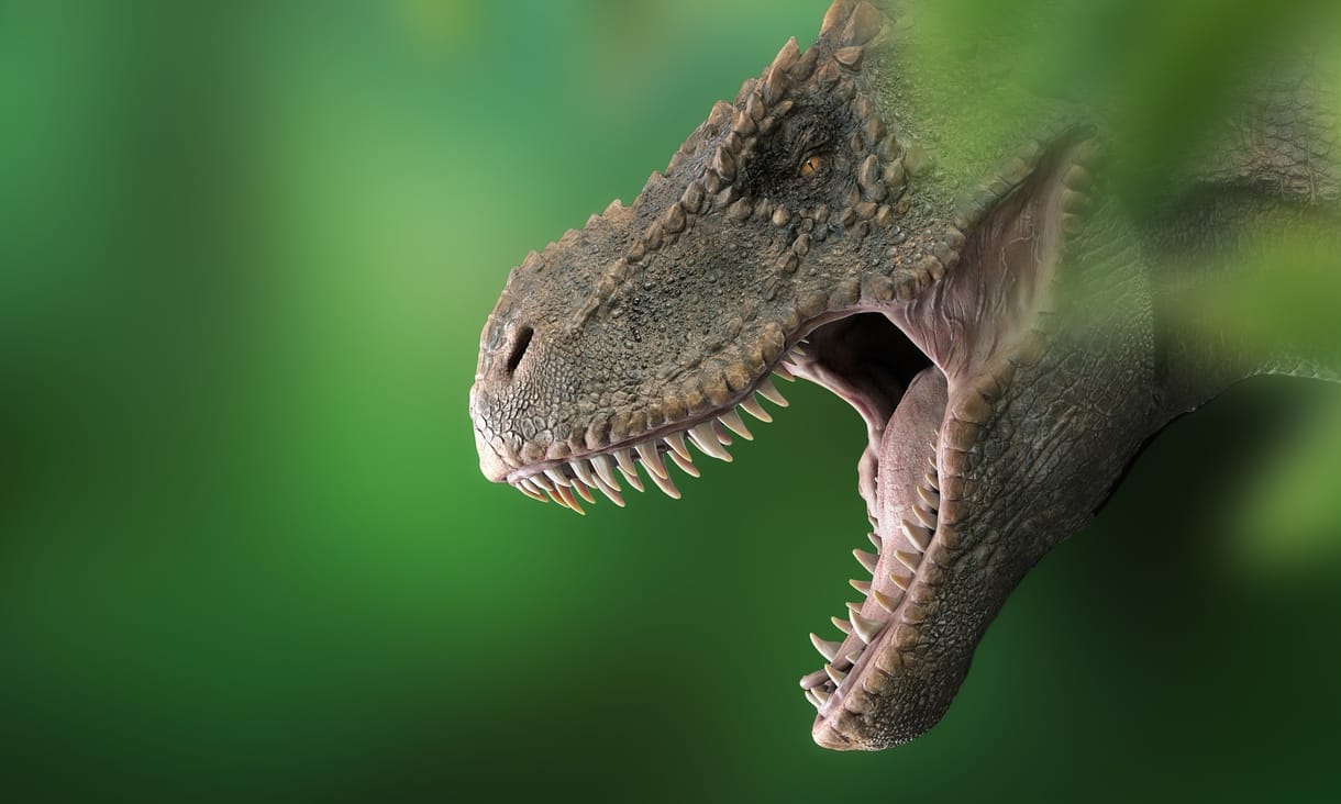 1,7 milliárd T-rex élhetett egykoron a Földön, sosem sikerült még ilyen pontosan megbecsülni az egyedszámukat