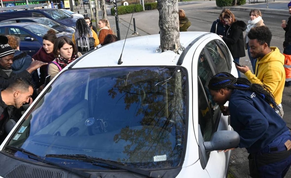 Fát növesztett magában egy autó, ráadásul egyik napról a másikra