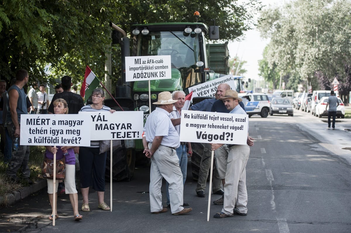 Megúszták a tejesek, nem ömlik be az olcsóbb tej Magyarországra