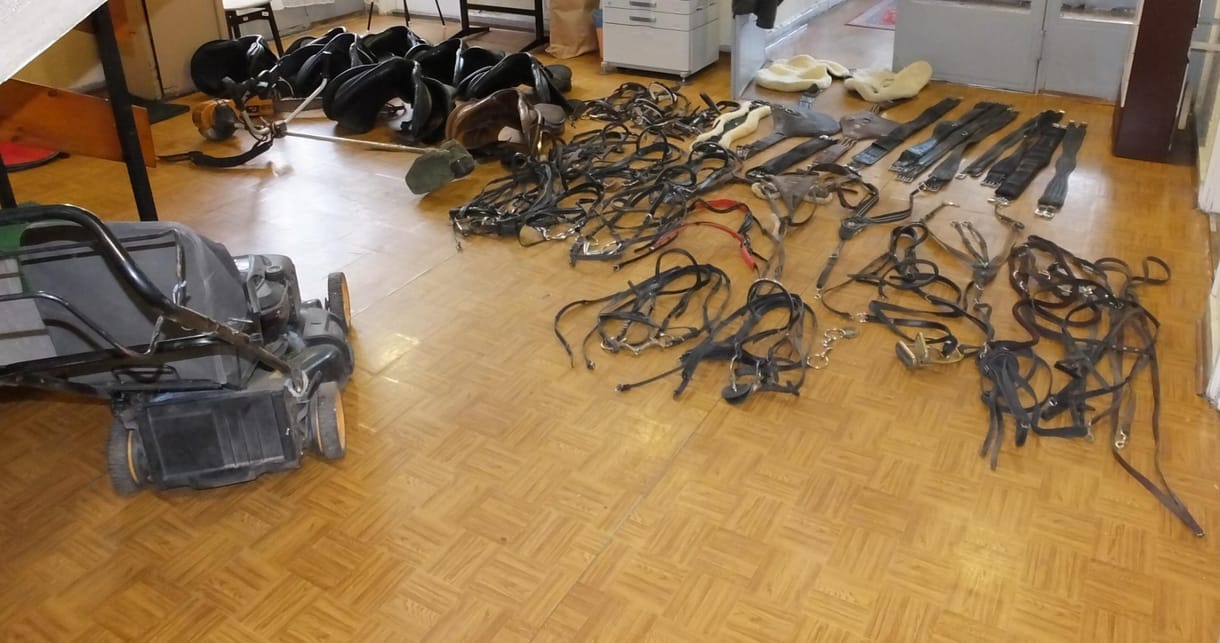Mindent megtettek, hogy lószerszámot lophassanak