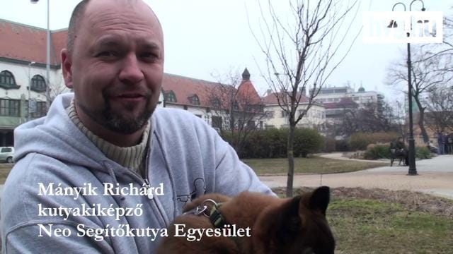 Kutyás videó: nem csak aranyosak, segítenek is