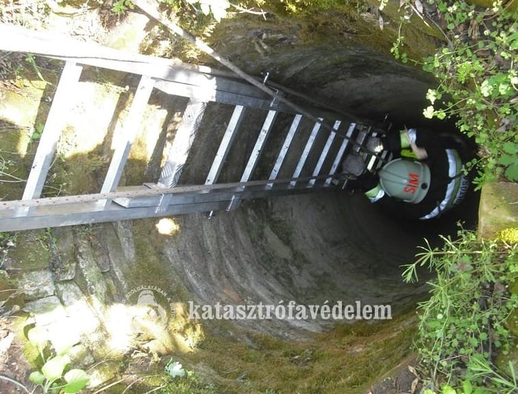Fotók: kútba esett őzgidát mentettek a tűzoltók