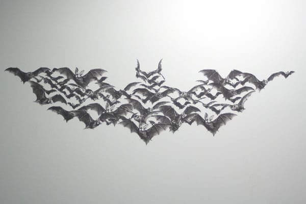 Batman a szobád falán - denevérekből?