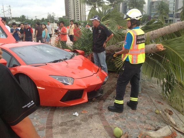 Felmászott a pálmafára egy Lamborghini Aventador