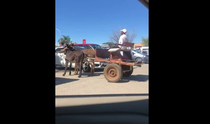 Videó: Ennyi a profi parkolás egy szamárfogattal