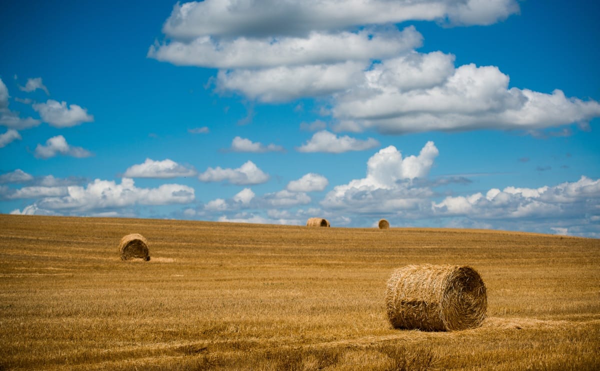 Nem lehet csak az uniós forrásokra építeni – versenyképtelenség az agráriumban