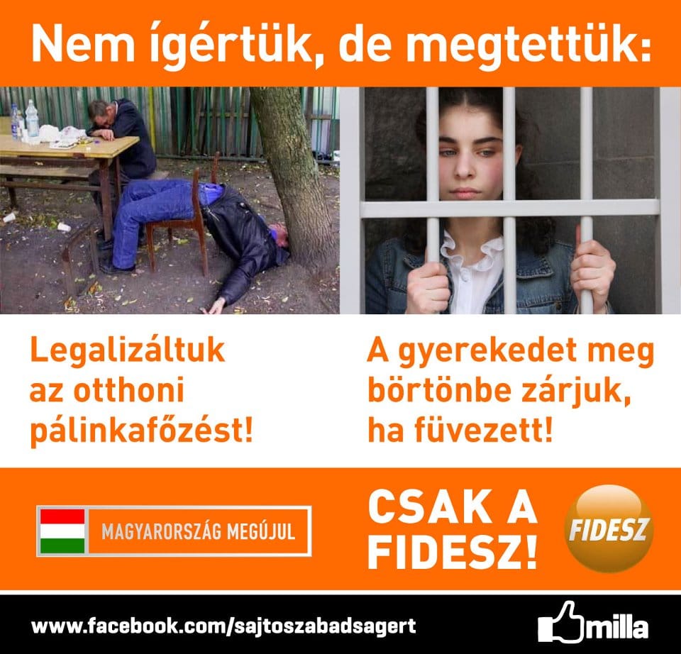 Drog és pálinka