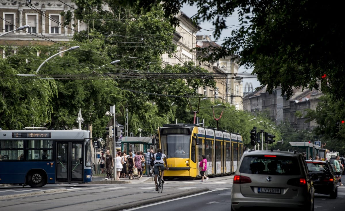 Kidőlt egy fa, lezárták a József körutat