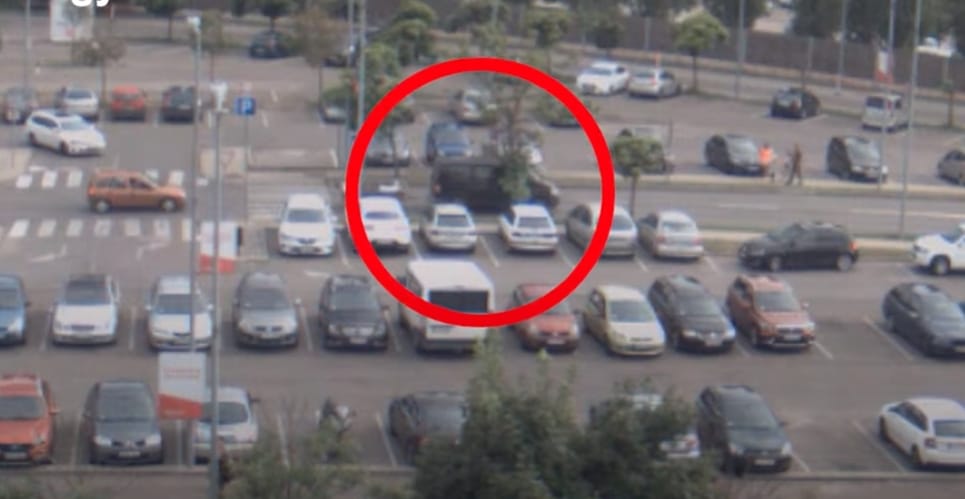Liszteszsákokban szállított egy férfi kutyakölyköket és egy kecskét, vádat emeltek ellene