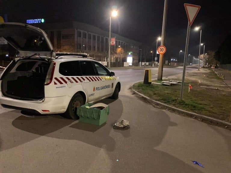 Az utcán szült egy nő Újpesten, a polgárőrök segítették világra a csecsemőt