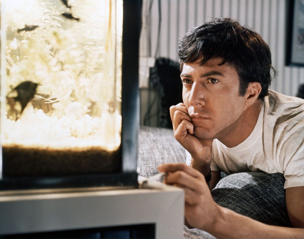 Dustin Hoffman 80 éves, de a lelke, mint a leghamvasabb babapopsi