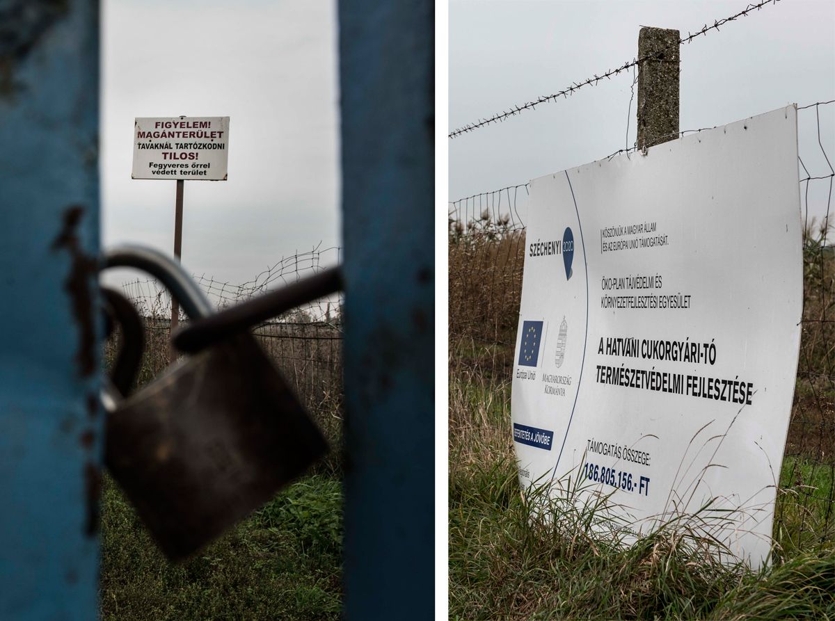 Arra kanyarodott a vízvezeték, amerre később tanyát vett a polgármester