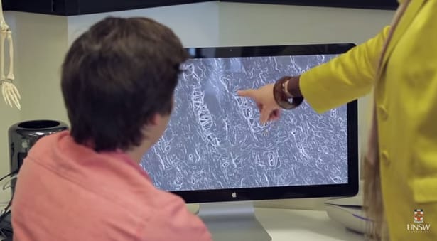 Benéznek az emberi test belsejébe – a Google Mapsszel