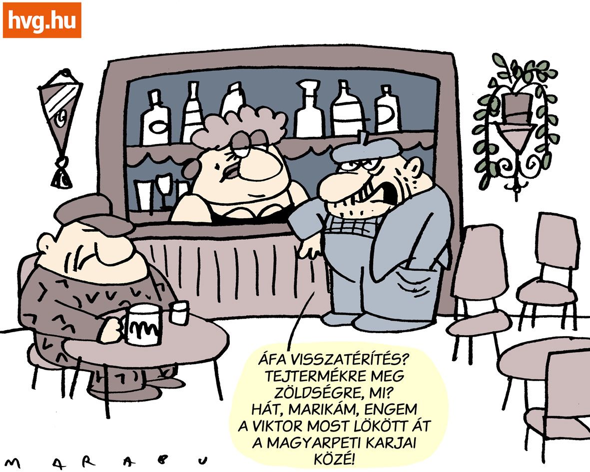 Marabu Féknyúz: Nyugdíjas szavazó