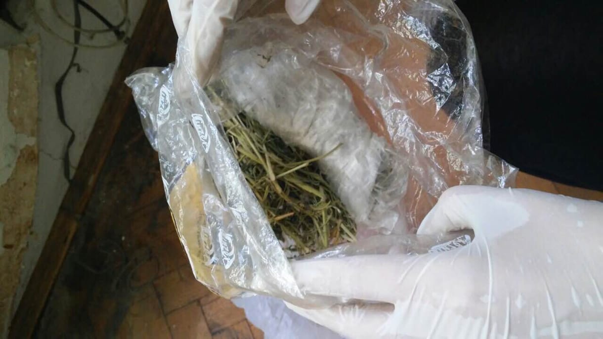 Bűzlik a rendőrség drogvádja a ligetvédők szerint 