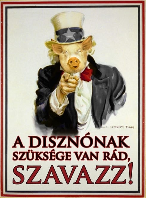A reklámipar moslékja: jön Aranydisznó