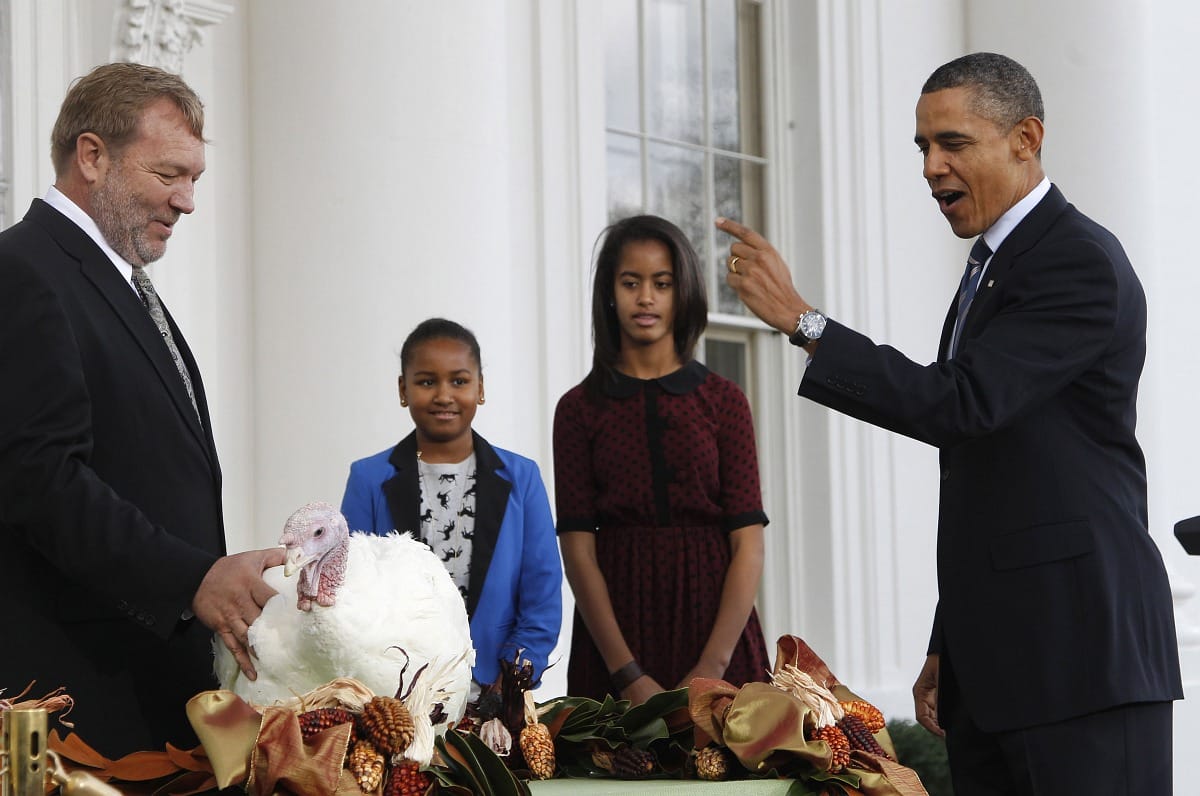A nap képei: Obama megkegyelmezett két pulykának