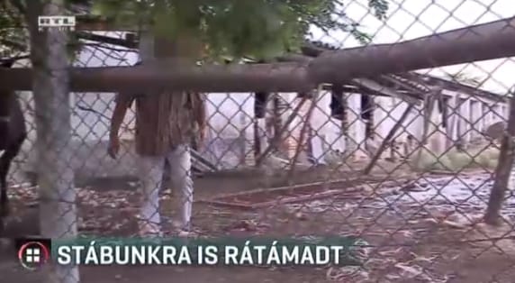 Kerítésléccel támadt az RTL Híradó operatőrére egy mélykúti állatkínzó