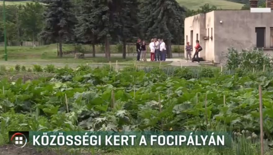 Van egy magyar város, ahol nem építették, hanem felszántották a focipályát