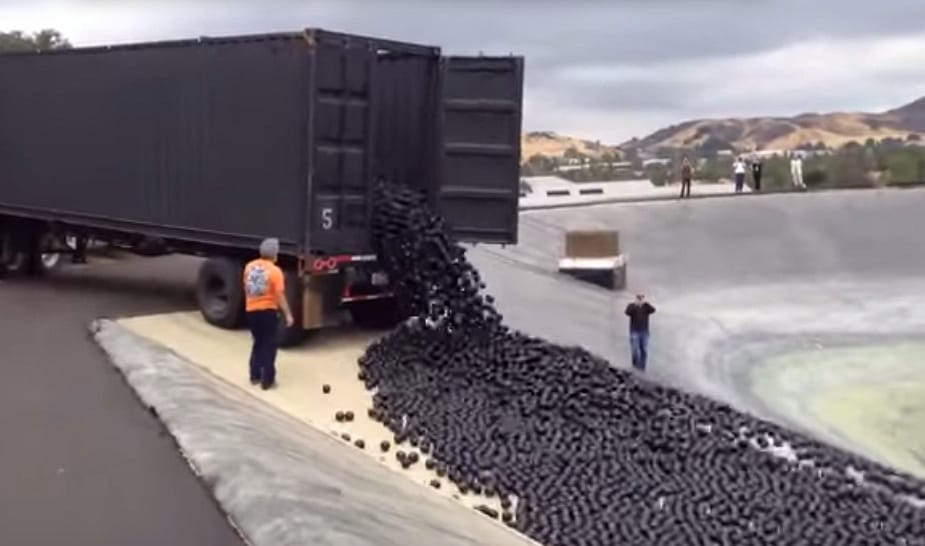 Sok millió fekete labdával vigyáznak Los Angeles ivóvizére – videó