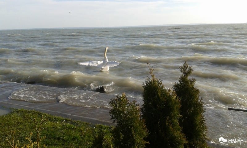 Ismerje meg, és figyeljen: nyáron újfajta viharjelzés is lesz a Balatonon