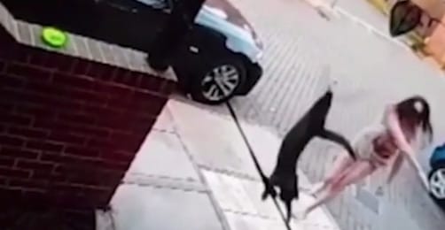 Hozzávágta egy nő a szomszédok ajtajához a macskájukat, a kamera meg felvette