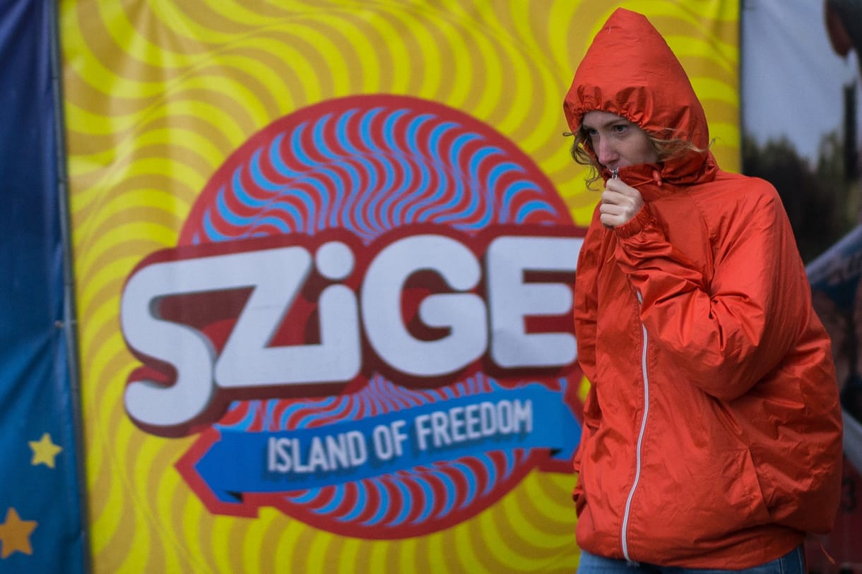 Nagykutyák a Szigeten - nem fellépők, befektetők