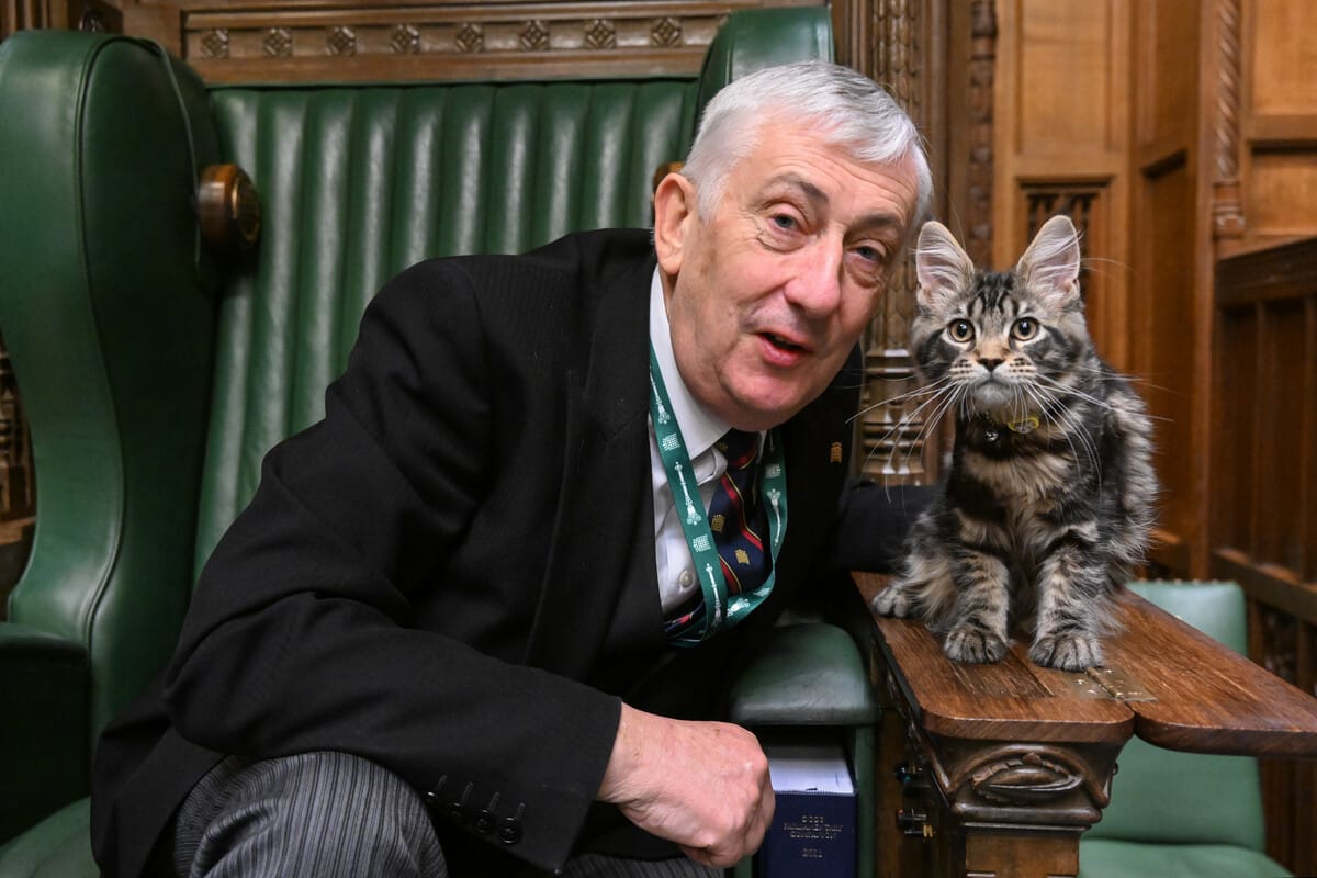 Simogatásügyi riválist kapott a Downing Street macskája