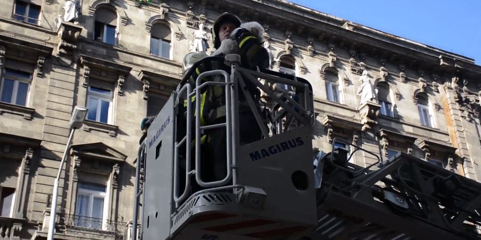 Ennél cukibb ma nem lesz: kiskutyát mentettek a tűzoltók a belvárosban