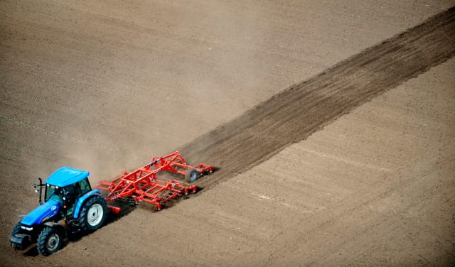 Európai non-profit agrárpiacot nyitottak magyar gazdák