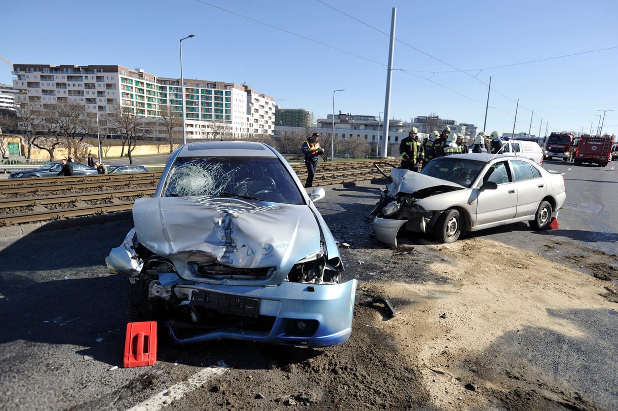 Halakat mentettek a tűzoltók a Rákóczi hídon - fotó