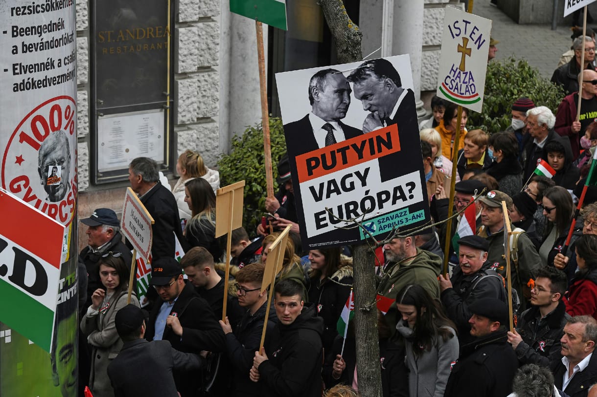 Polyák Gábor: Szégyenünkben ordítani