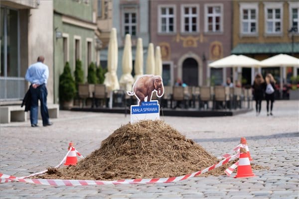Elefántürülék-halmok lepték el Poznant, nem véletlenül – fotók