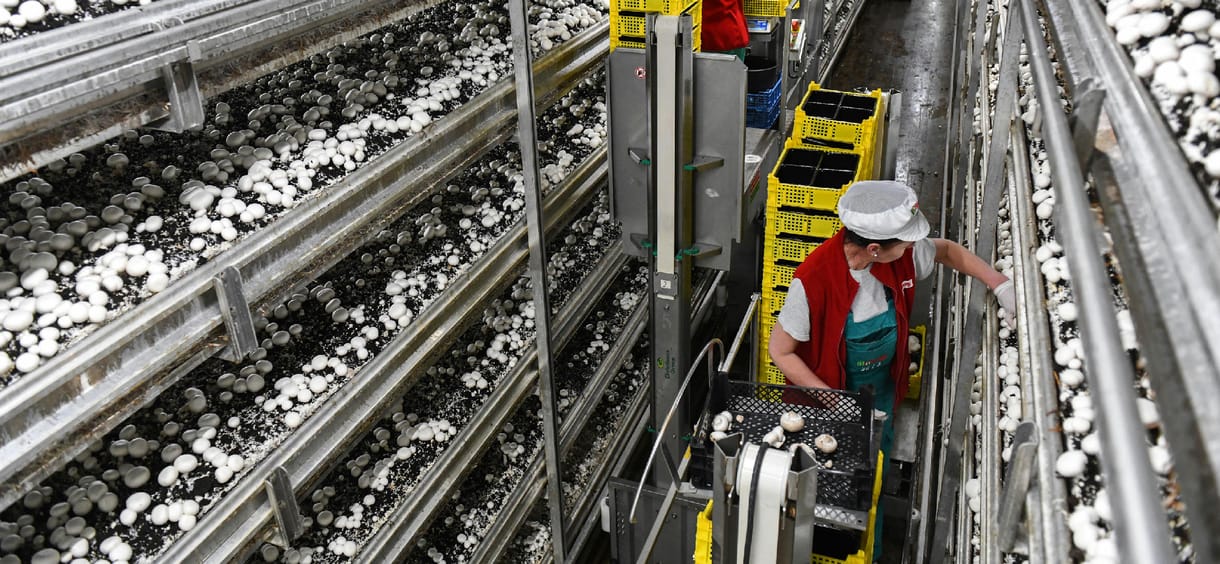 Szép csendben a dolgozók kárára módosíttatta a kormány a munka törvénykönyvét