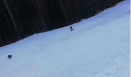 A felvonóról kiabáltak le a síelőnek, hogy üldözi egy medve