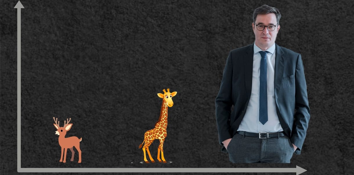 Tállai András zsiráffal hasonlította össze Karácsony Gergelyt