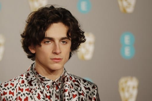 Budapesten maceszgombócozott Timothée Chalamet