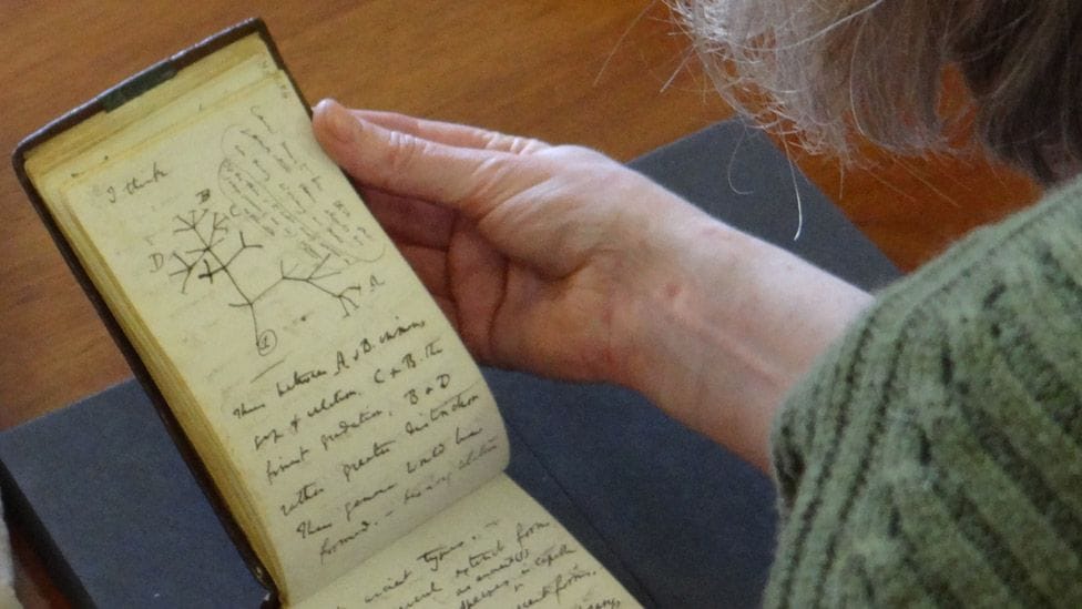 22 éve eltűnt Charles Darwin két kézirata, egy ajándékszatyorban csempészte a helyére valaki