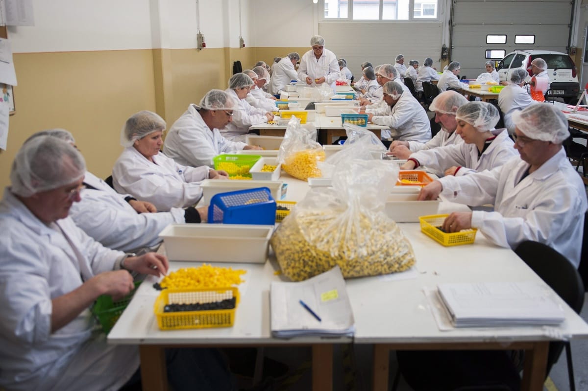 Galéria: így készülnek a játékok a kindertojásokba