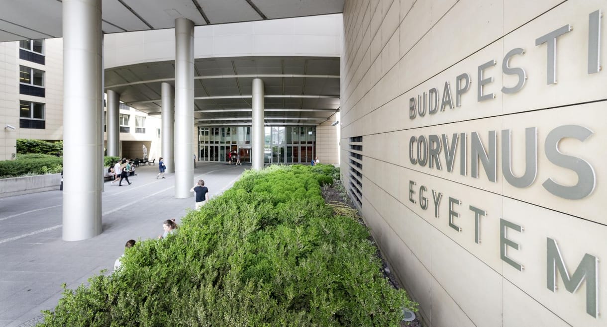 Mol-részvényekkel indulhat az átalakított Corvinus