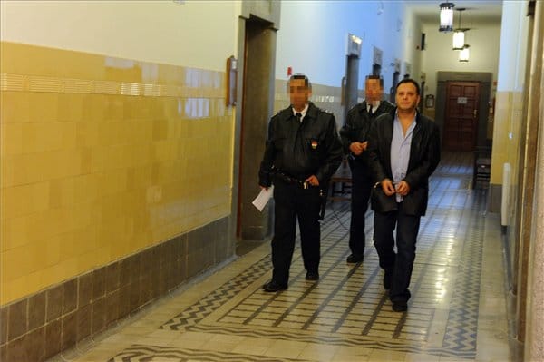 Erőszakos közösülés miatt vádemelés Damu Roland ellen