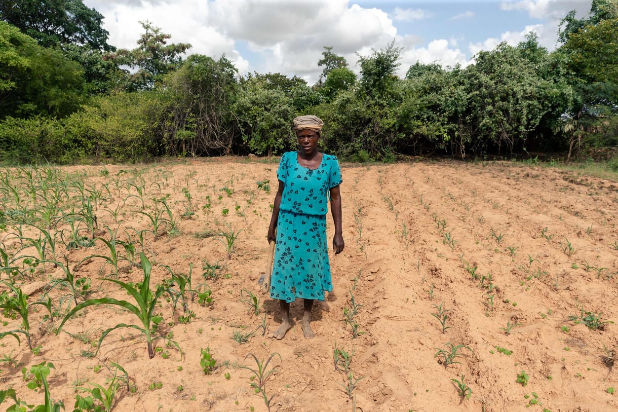 Afrika a világ éléstára lehetne, de egyre súlyosabb éhínséggel küzd