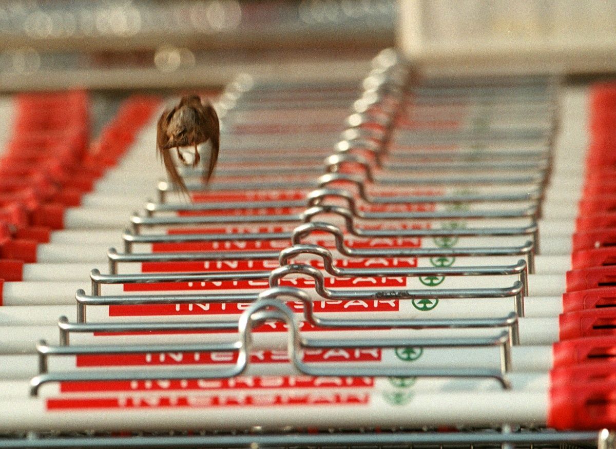 A Spar nem filléreskedik: milliárdokat költöttek a boltokra