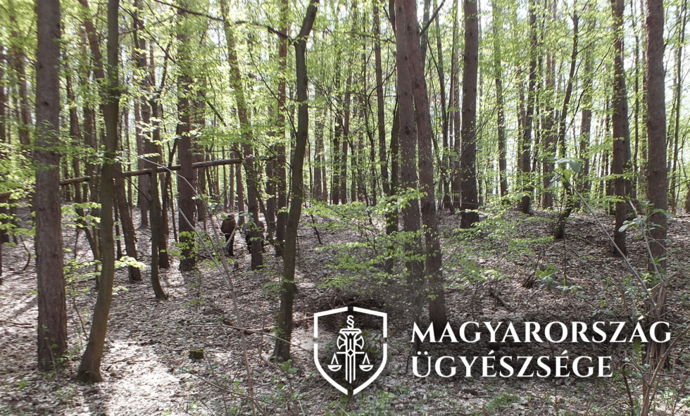 Kegyetlenül végzett unokája husky kutyájával egy 76 éves szilvásváradi férfi