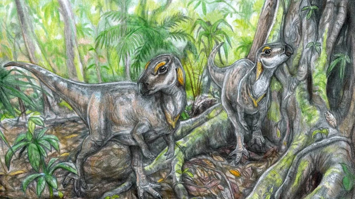 Magyar kutatók új dinoszauruszfajok maradványait fedezték fel Erdélyben