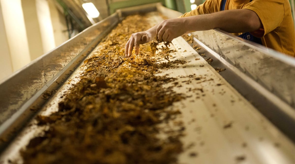 Eljön a nap, amikor a Philip Morris nem gyárt cigarettát, de addig megtömi a zsebét