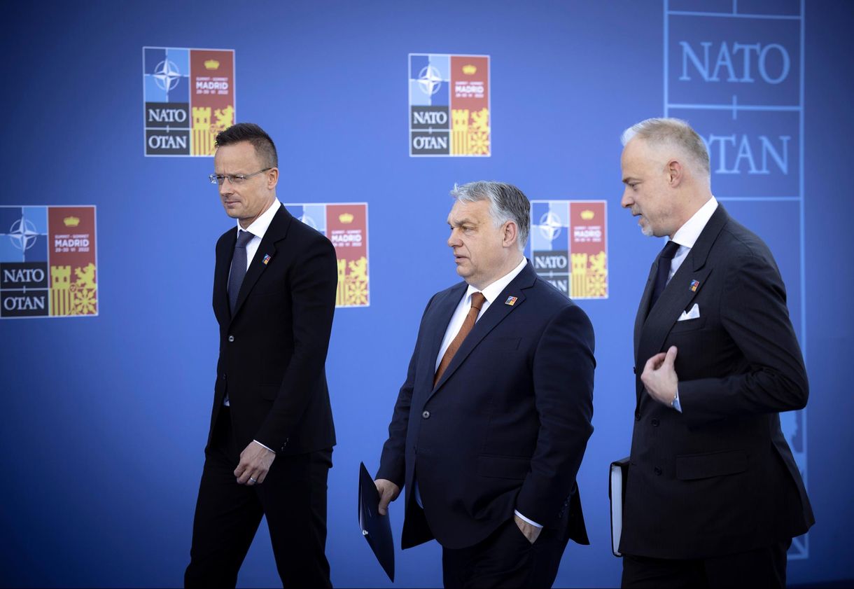 Parászka Boróka: Kurázsi papa